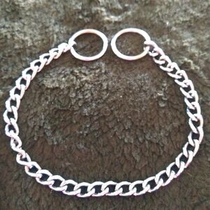 NWOT 12" Dog Chain Collar